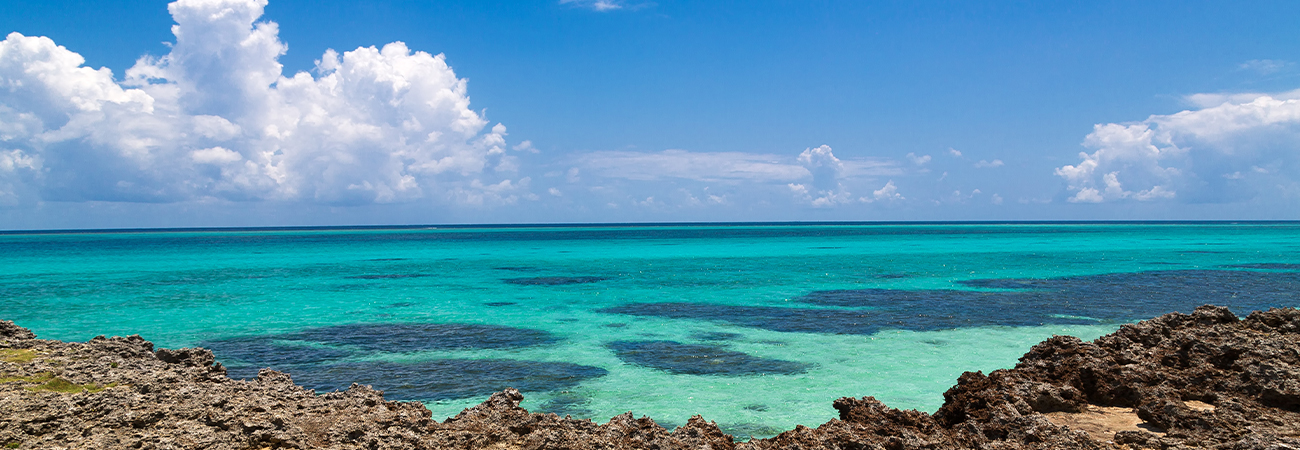 うううううううううううううううう