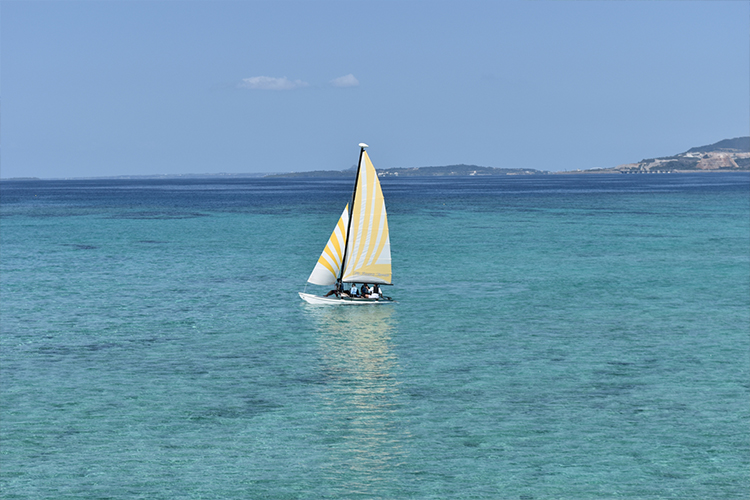 ホテル名がはいります