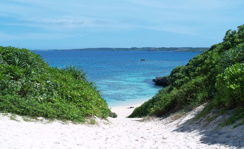砂山ビーチの画像